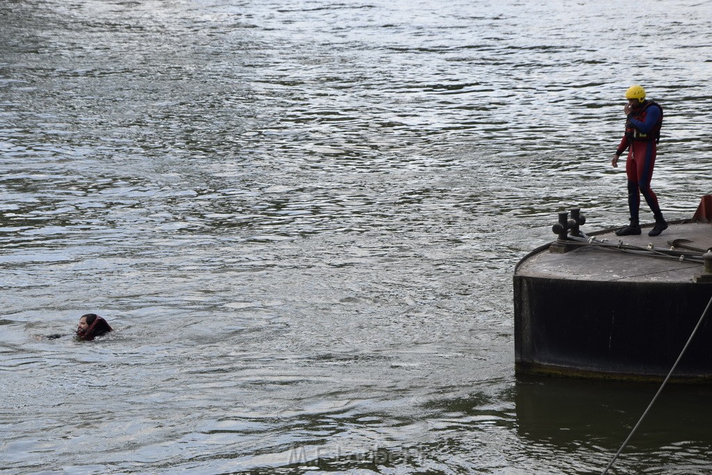 Uebung BF Taucher und Presse Koeln Zoobruecke Rhein P340.JPG - Miklos Laubert